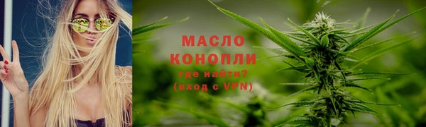 хмурый Арсеньев