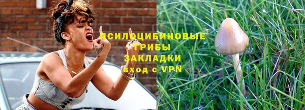 соль ск Аркадак