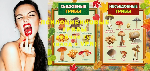 хмурый Арсеньев