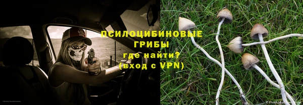 соль ск Аркадак