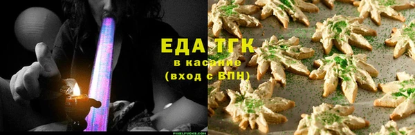 хмурый Арсеньев