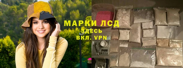 хмурый Арсеньев