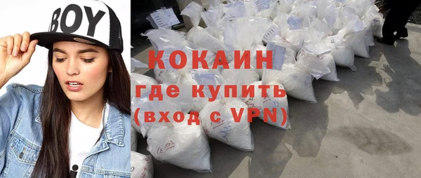 хмурый Арсеньев