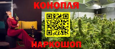 гидра Тулун