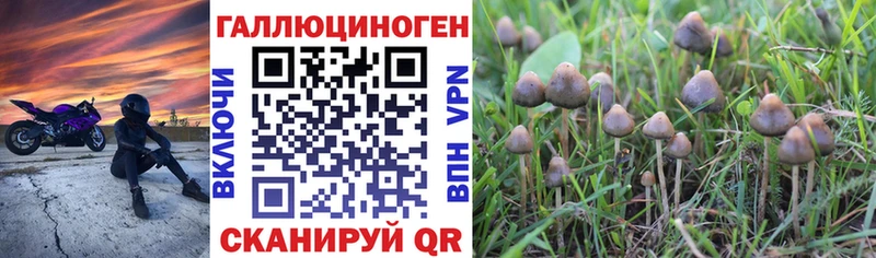 Псилоцибиновые грибы Cubensis  Нефтекумск 