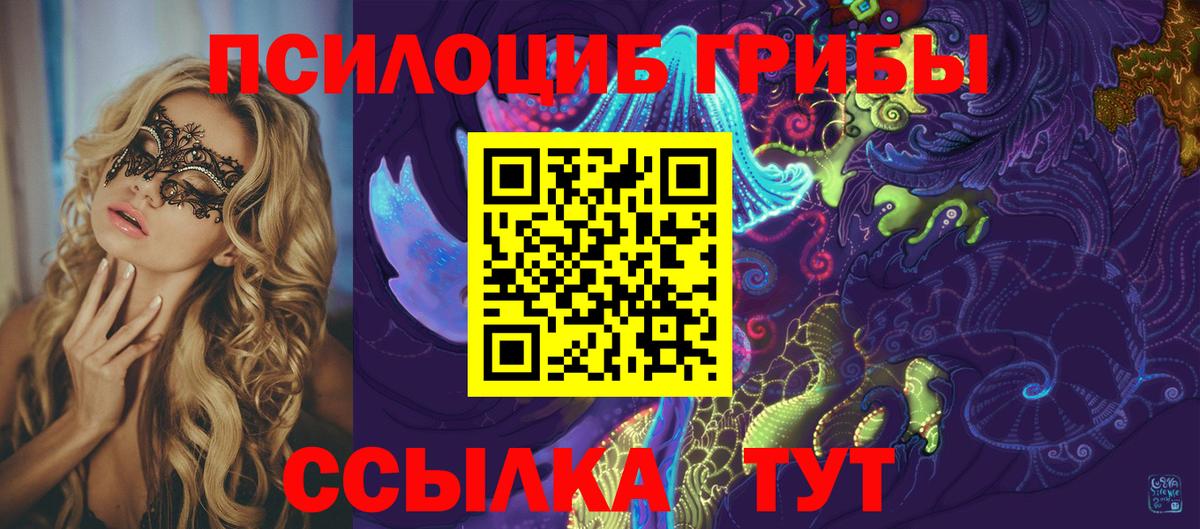 Нефтекумск  наркота  Вход с VPN  Галлюциногенные грибы Cubensis 